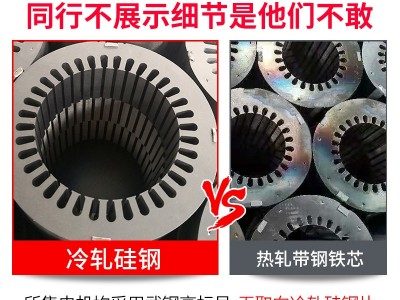 欧标MVE振动电机380v三相100/3小型2/4/6极200/3震筛料斗仓壁纯铜图2