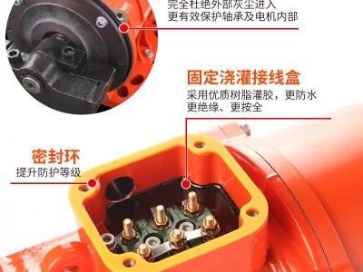 欧标MVE振动电机380v三相100/3小型2/4/6极200/3震筛料斗仓壁纯铜图3